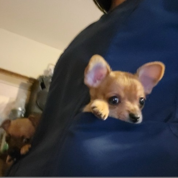 Meet your Posher, Veronica - Picture 7 of 12